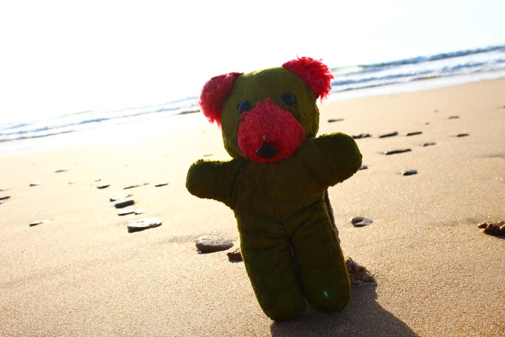  Beach in San Fernando